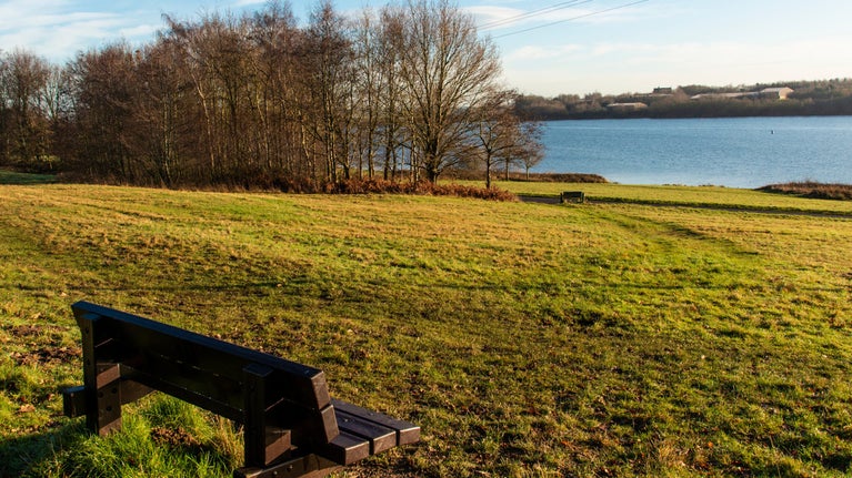 Image shows a bench overlooking the meadow at Staunton Harold in Winter